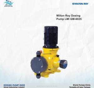 Milton Roy Dosing Pump
